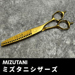 ミズタニシザーズ