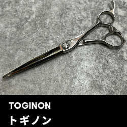 トギノン