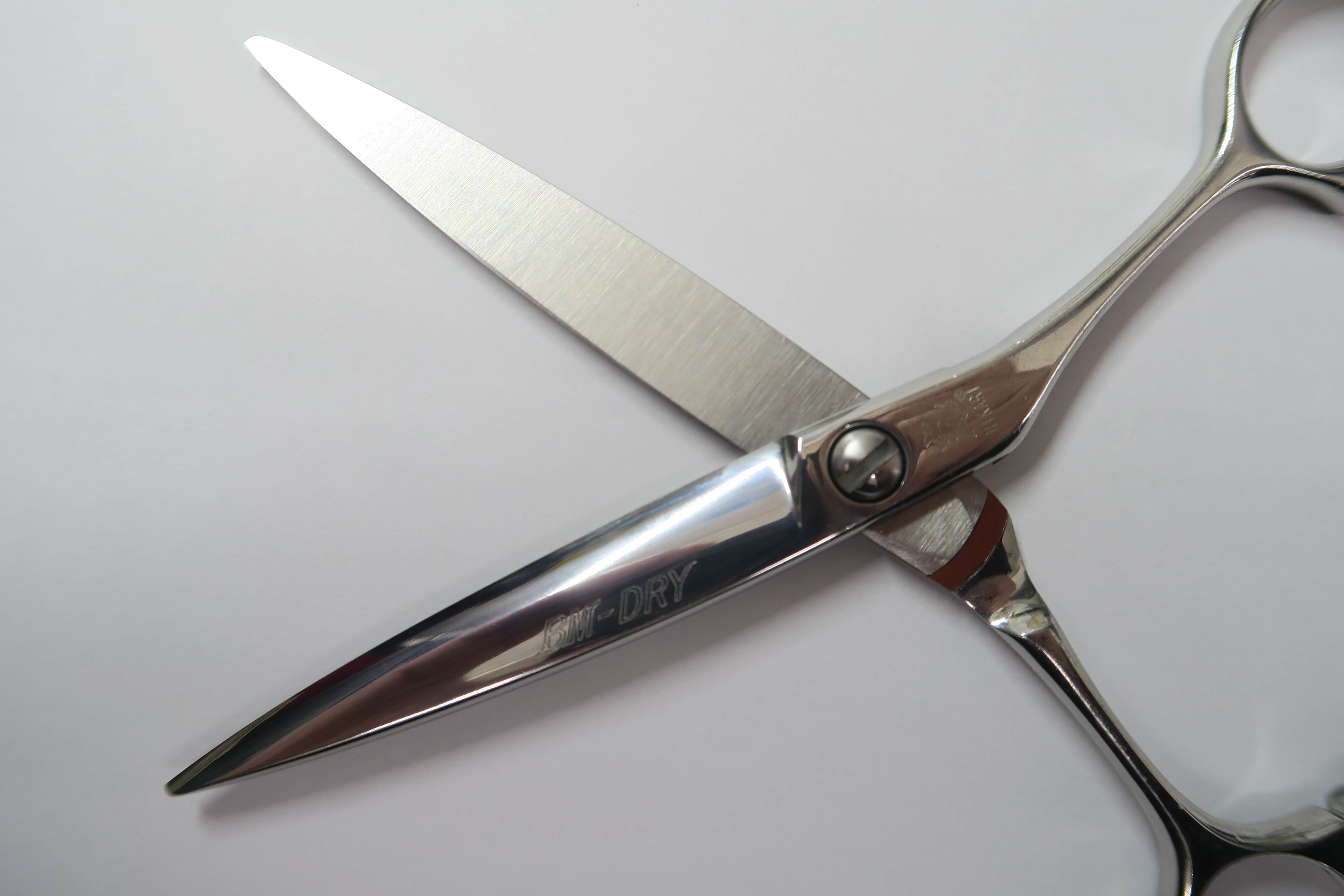 ヒカリ HIKARI 光 シザー 美容師 F-5 隠せ - 衛生日用品 